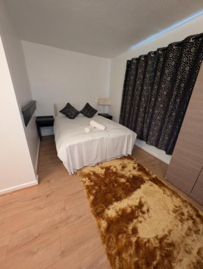 Bow Room Near Abba Studio and Stratford Olympic